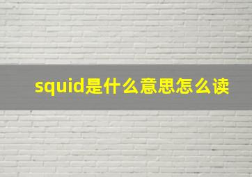 squid是什么意思怎么读