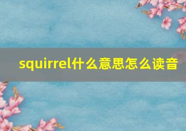 squirrel什么意思怎么读音