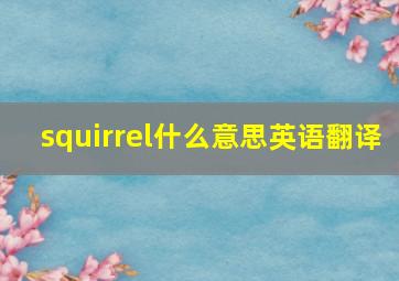 squirrel什么意思英语翻译