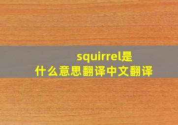 squirrel是什么意思翻译中文翻译