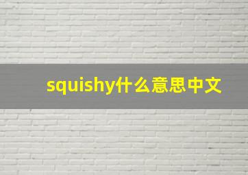 squishy什么意思中文