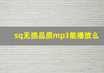 sq无损品质mp3能播放么