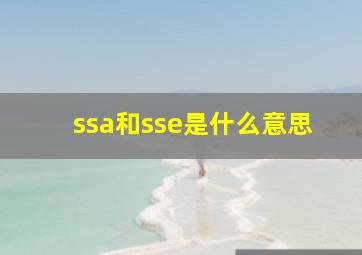 ssa和sse是什么意思