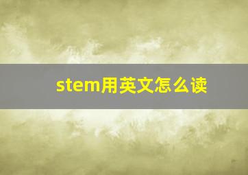 stem用英文怎么读