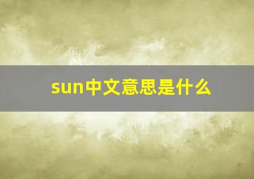 sun中文意思是什么