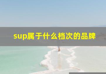 sup属于什么档次的品牌