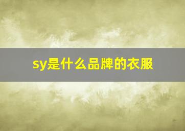 sy是什么品牌的衣服