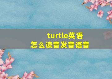 turtle英语怎么读音发音语音