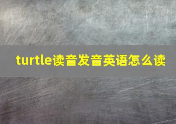 turtle读音发音英语怎么读