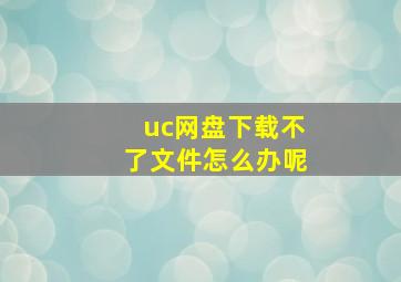 uc网盘下载不了文件怎么办呢