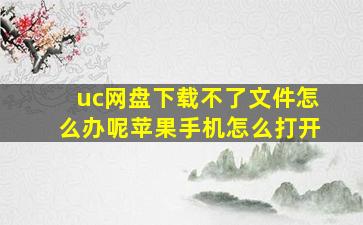 uc网盘下载不了文件怎么办呢苹果手机怎么打开