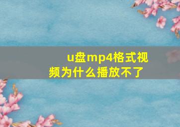 u盘mp4格式视频为什么播放不了