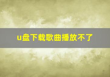 u盘下载歌曲播放不了