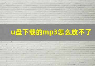 u盘下载的mp3怎么放不了