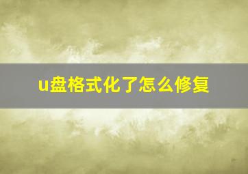 u盘格式化了怎么修复