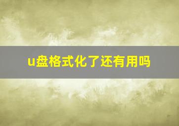 u盘格式化了还有用吗