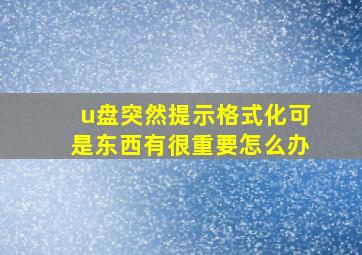 u盘突然提示格式化可是东西有很重要怎么办