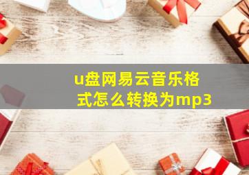 u盘网易云音乐格式怎么转换为mp3