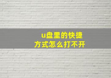 u盘里的快捷方式怎么打不开