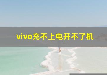 vivo充不上电开不了机