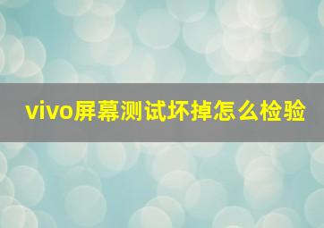 vivo屏幕测试坏掉怎么检验