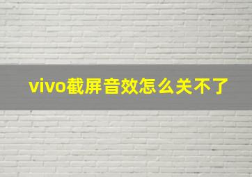 vivo截屏音效怎么关不了