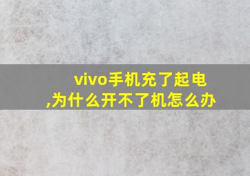 vivo手机充了起电,为什么开不了机怎么办