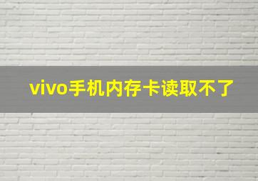 vivo手机内存卡读取不了