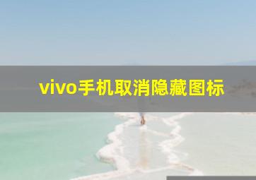 vivo手机取消隐藏图标