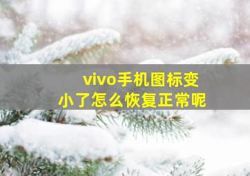 vivo手机图标变小了怎么恢复正常呢