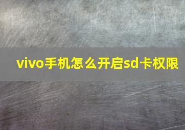 vivo手机怎么开启sd卡权限