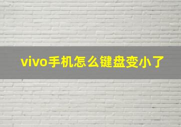 vivo手机怎么键盘变小了