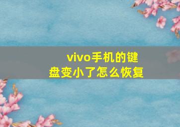 vivo手机的键盘变小了怎么恢复