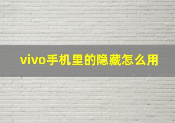 vivo手机里的隐藏怎么用