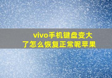 vivo手机键盘变大了怎么恢复正常呢苹果