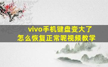 vivo手机键盘变大了怎么恢复正常呢视频教学