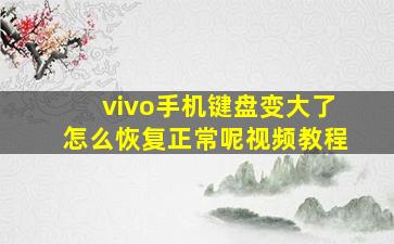 vivo手机键盘变大了怎么恢复正常呢视频教程