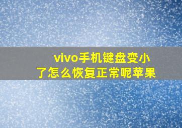 vivo手机键盘变小了怎么恢复正常呢苹果