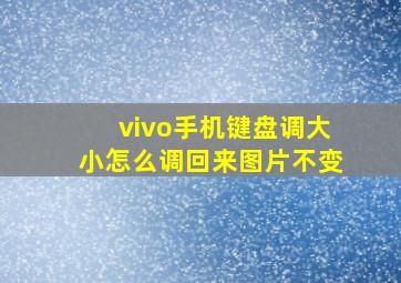 vivo手机键盘调大小怎么调回来图片不变