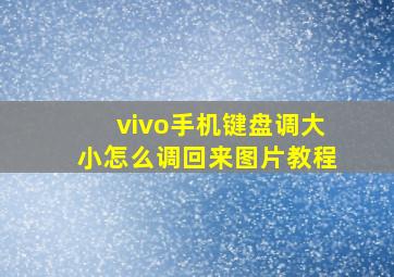 vivo手机键盘调大小怎么调回来图片教程