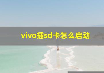 vivo插sd卡怎么启动