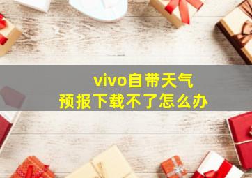 vivo自带天气预报下载不了怎么办