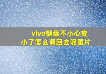 vivo键盘不小心变小了怎么调回去呢图片