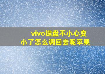 vivo键盘不小心变小了怎么调回去呢苹果