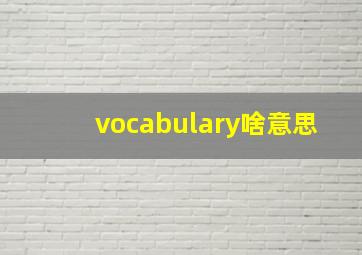 vocabulary啥意思