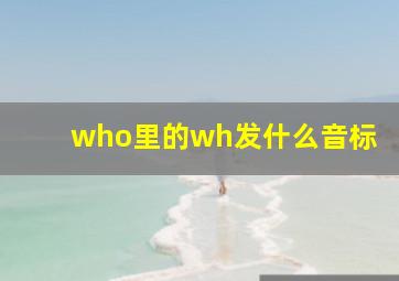 who里的wh发什么音标