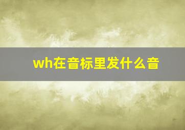 wh在音标里发什么音