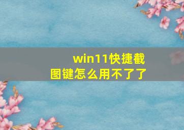 win11快捷截图键怎么用不了了