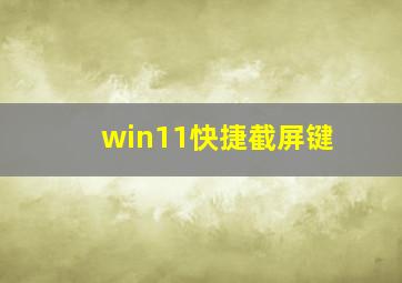 win11快捷截屏键