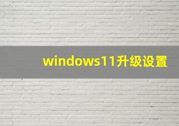 windows11升级设置